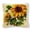 20117Sunflower, variant on ShowNiceArt Square Flower Latch Hook Pillow Kit, DIY Home Decor Craft, 43×43cm/17×17in
