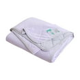 thumbnail image 2 of Ice Silk Mugwort Summer Quilt with Cooling Technology, Lightweight Air Conditioning Blanket for Hot Nights, Single/Double Size Machine Washable Tanuke Multi-Color Cotton, 2 of 9