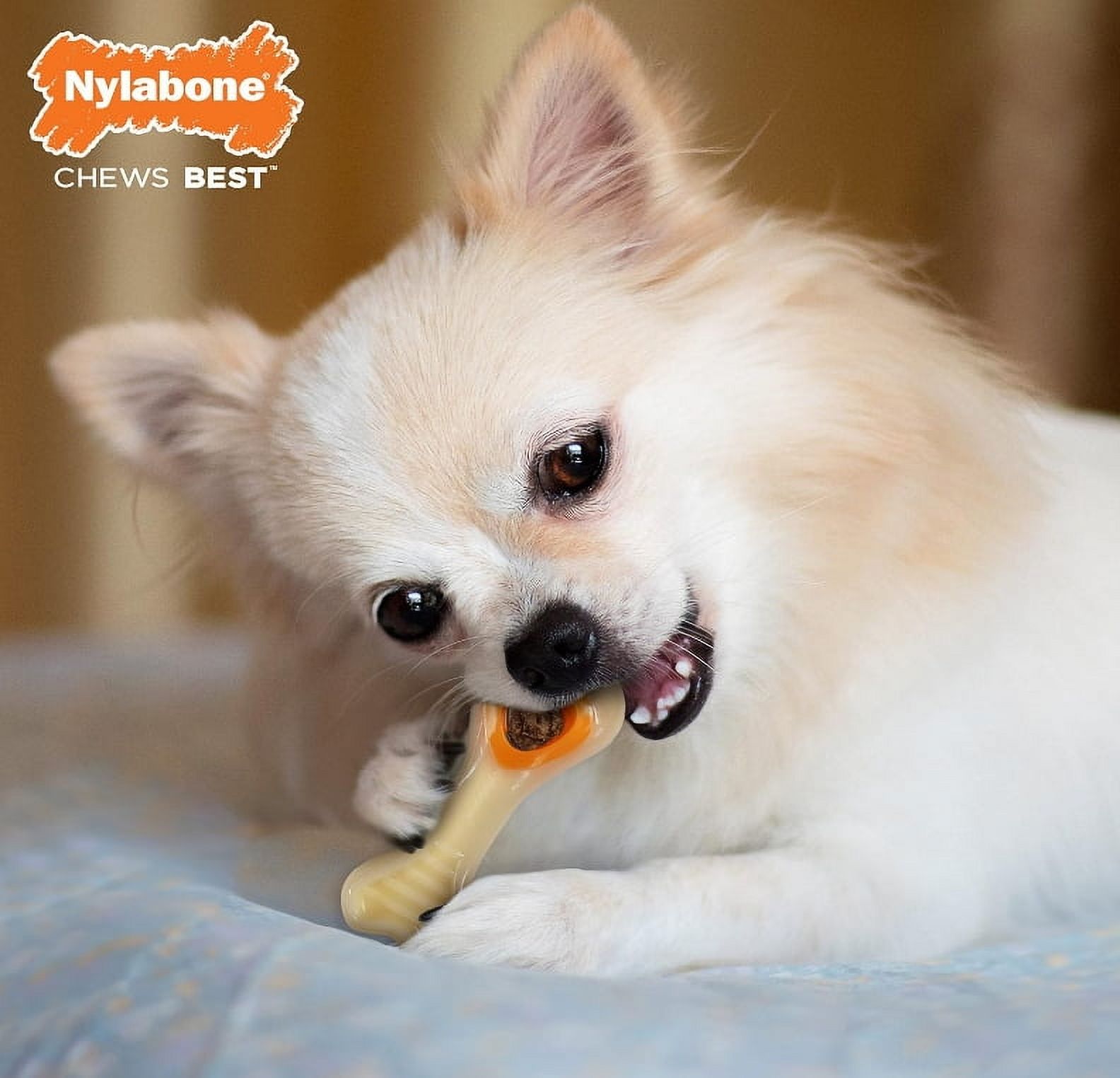Nylabone Power Chew Knuckle Bone and Pop- In Treat Toy Combo Chicken Flavor X-Small [New Dog Supplies, Dog Chew Toys, Nylabone, Dog Supplies] 4 count