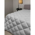thumbnail image 2 of Leaves Down Alternative Comforter, Green Tone Monochrome Pattern with Swirling Leafy Branches Summer Nature, Microfiber Quilt for All Season, 5 Sizes, Pale Green Lime Green, by Ambesonne, 2 of 3