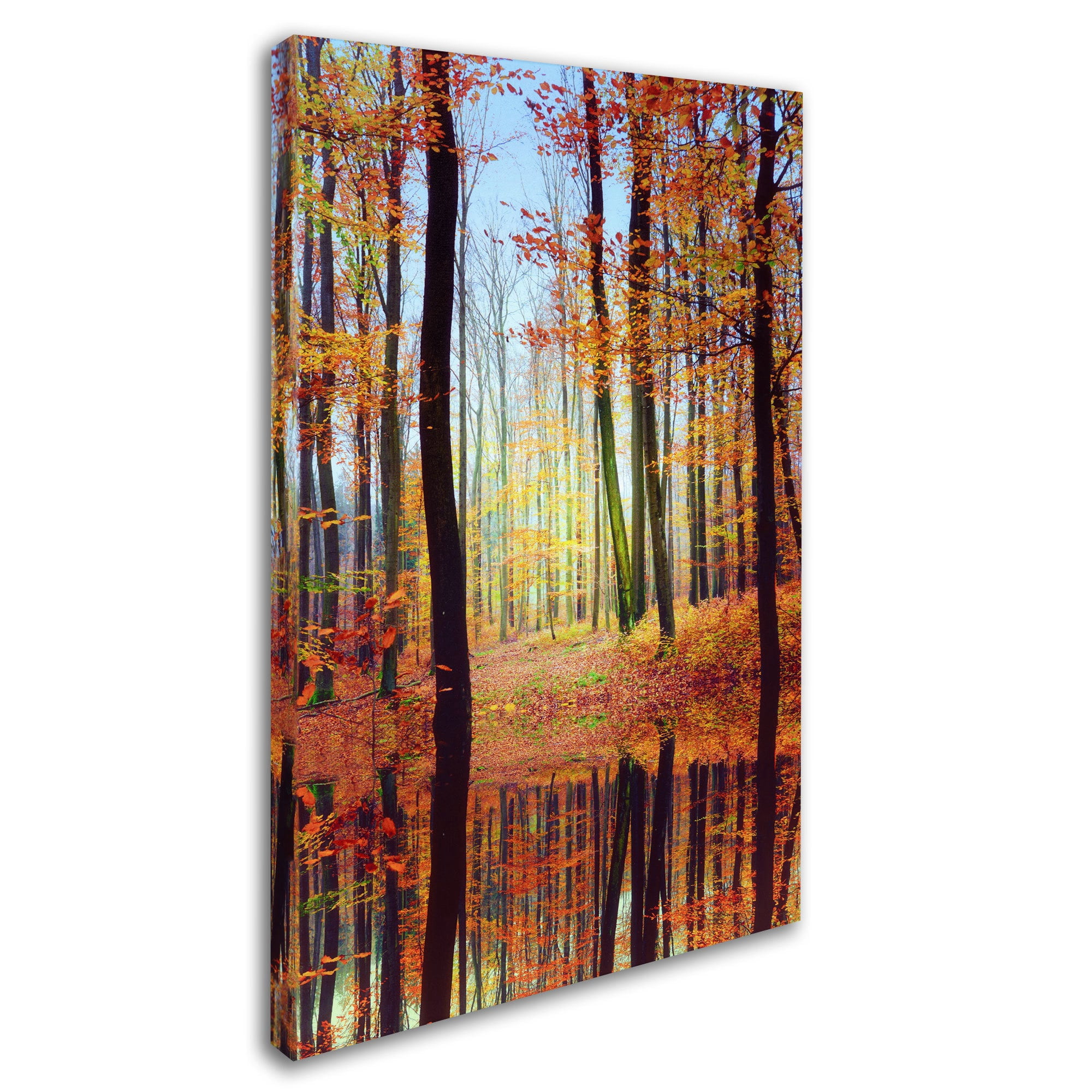 Trademark Fine Art "Fall Mirror" Canvas Art by Philippe Sainte-Laudy