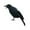 B, variant on Halloween Crow Decorations Black Bird Prop 6PCS Artificial Flying DIY Indoor Outdoor Decor for Tree Wreath Porch