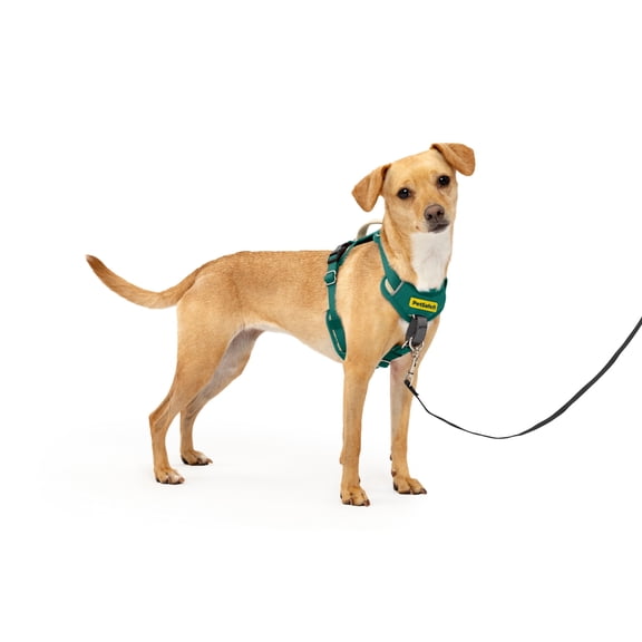PetSafe Easy Walk Comfort No-Pull Dog Harness, 5 Adjustement points, XS, Green