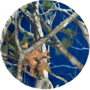 Royal Blue Camo 7" Dessert Plates 8 Pack