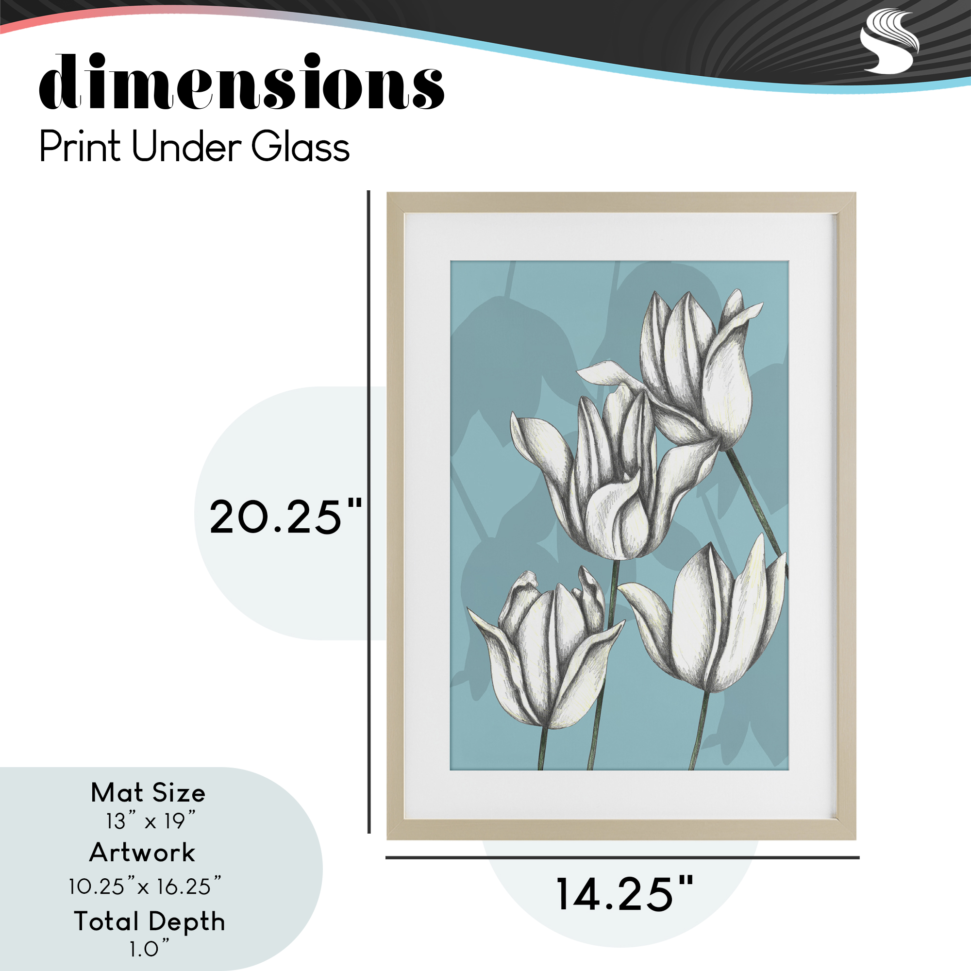 Sketched Tulips Keep Growing Birch Framed Print Under Glass, design by Cecilia Battaini