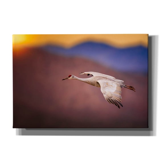 Epic Graffiti 'Sunset Flight' by Jonathan Ross, Canvas Wall Art, 26"x18"