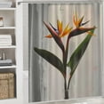 thumbnail image 6 of Orinice Bathroom Shower Curtain Spring Bird Paradise Flowers Bouquet Close Hawaiian Isolated On Flora White Foliage Nature Objects Decorative Bath Curtain Water Proof with Hooks  36x72, 6 of 7