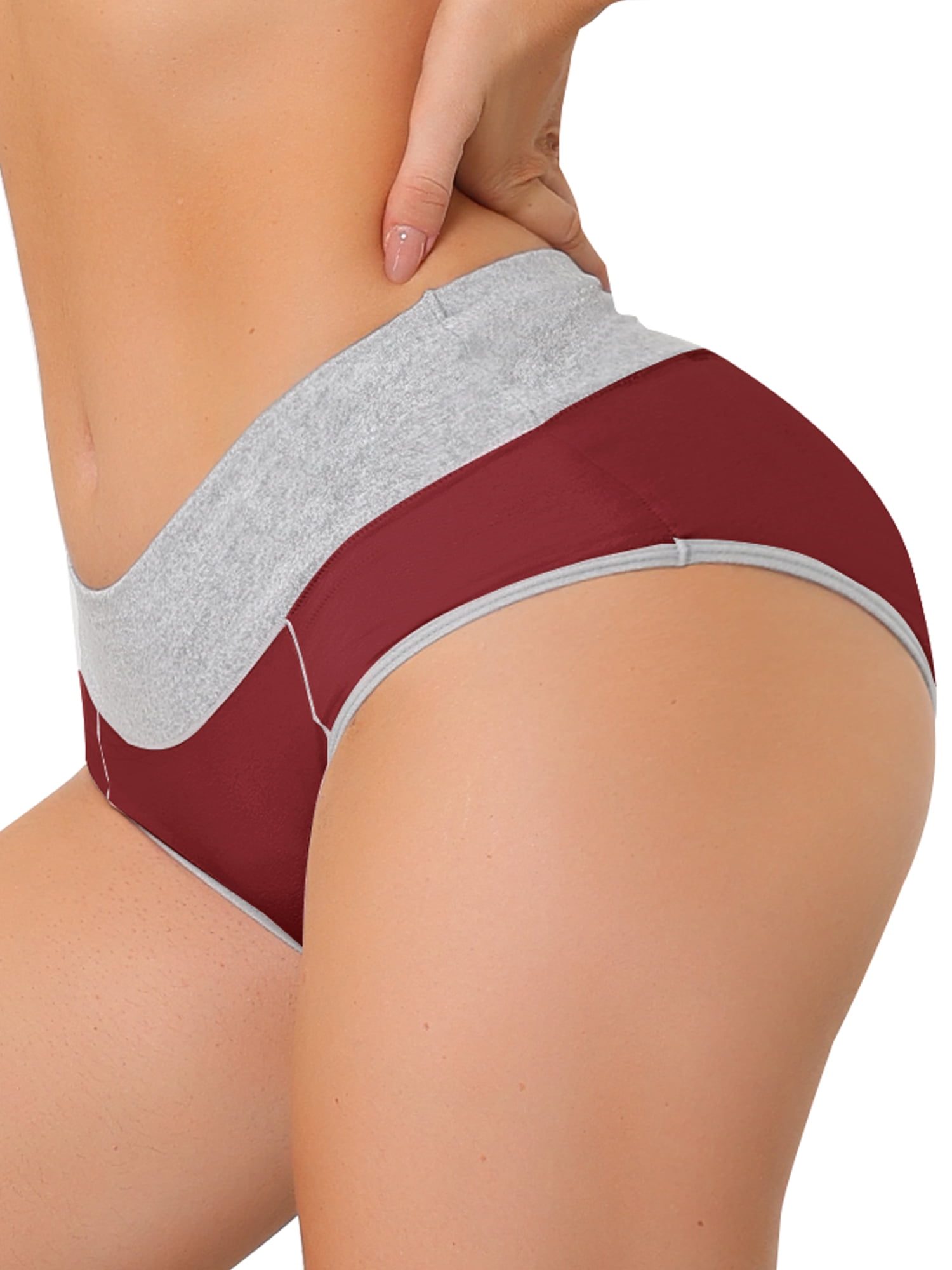 Unique Bargains Women's Plus Size 5 Packs Brief Stretchy Underwear Purple, Burgundy, Orange, Light Pink, Hot Pink 1X