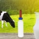 thumbnail image 2 of Biberón para alimentación de terneros, biberón para vacas lactantes, biberón para leche de ganado (500 ml), 2 of 7