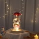 thumbnail image 2 of Specollect 2 Pcs Rose Flower Dome Night Light with LED, Romantic Home Decor Gift for Women, Preserved Real Rose and Teddy Bear, Warm White Lights for Bedroom Desk Decoration, 2 of 9