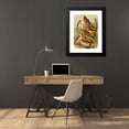 thumbnail image 4 of Gustav Mützel 18x24 Black Modern Framed Museum Art Print Titled - The North American Vogelwelt Pl02 (1891), 4 of 5