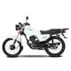 thumbnail image 4 of Motocicleta Italika DT125 Delivery Blanco 2025, 4 of 4
