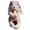 Brown, variant on Easter Bunny Teddy Plushy, 20cm/8" or 40cm/8", Soft Material, Adorable Design, for Decoration & Cuddling