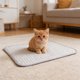 thumbnail image 5 of Alfombrilla de hielo de verano para mascotas: almohadilla refrescante para dormir para perros y gatos, alfombrilla de seda helada para mascotas para clima cálido, alfombrilla lavable para cama de, 5 of 6