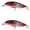 d, variant on Bisitoy 2Pcs Slow Sinking Fishing Lures Set with Holographic Finish for Kokanee
