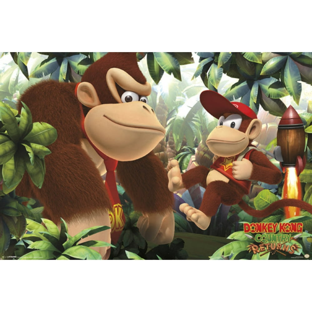 Donkey Kong Country Returns Donkey Kong Country Returns Platformer Game
