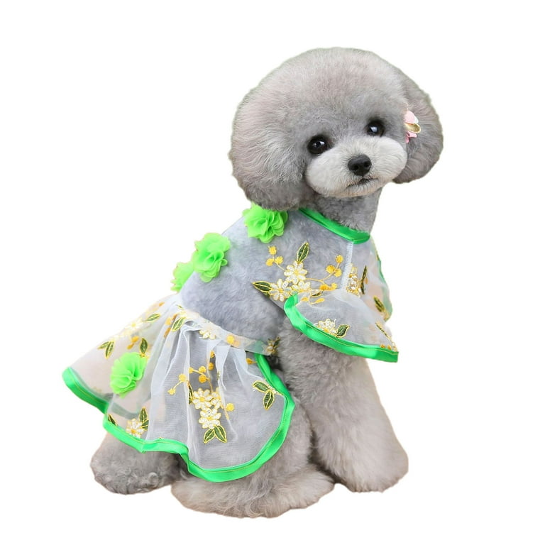 Fancy dog deals