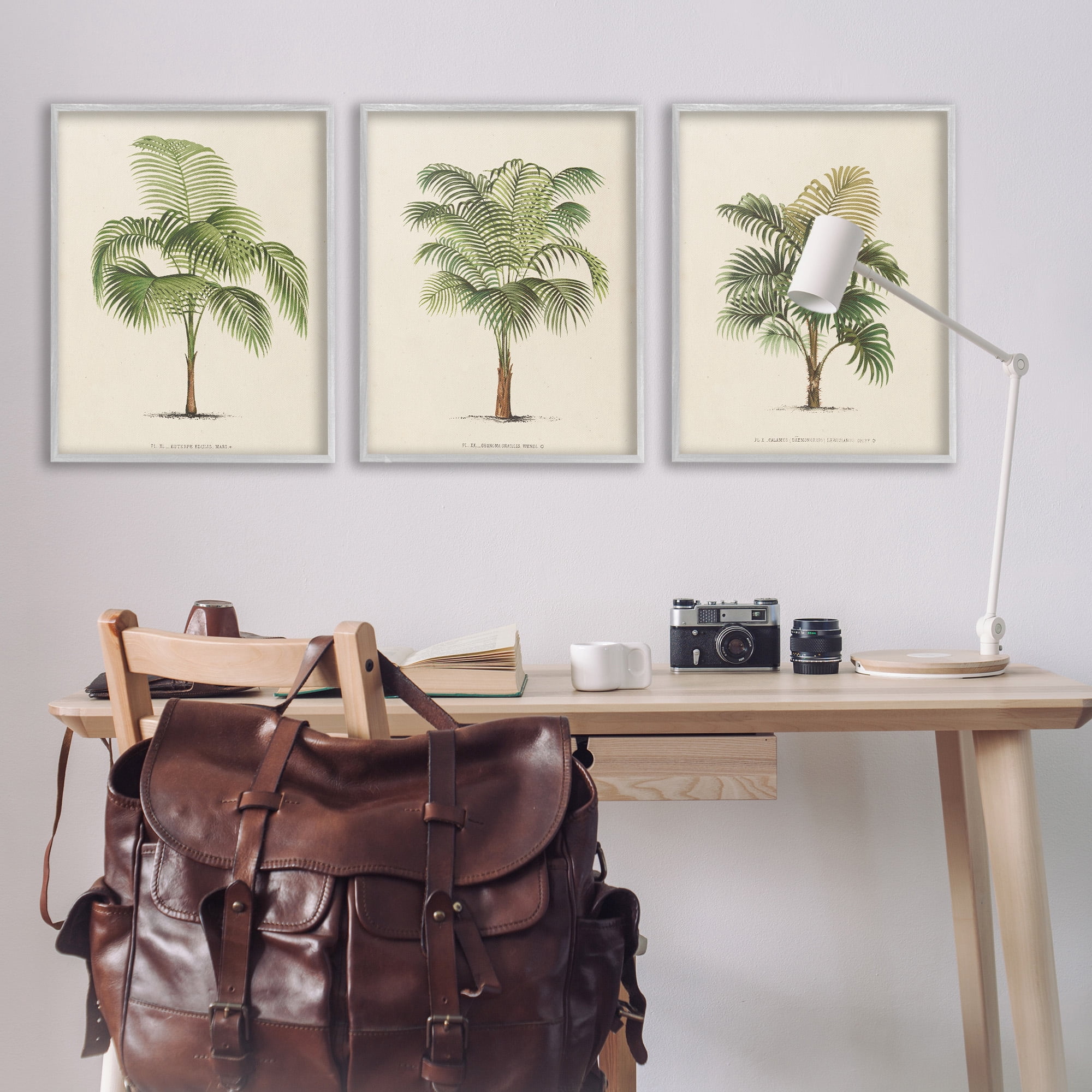 Stupell Industries Les Palmiers Botanical Trio Botanical & Floral Painting Gray Framed Art Print Wall Art, 24 x 30, Set of 3