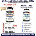 thumbnail image 2 of BioSchwartz Probióticos y Prebióticos 40 Billones UFC, 60 Cápsulas, con Inulina de Agave Azul, Astrágalo y Lactobacillus acidophilus, Apoyo Digestivo Diario, 60 Cápsulas, 2 of 10