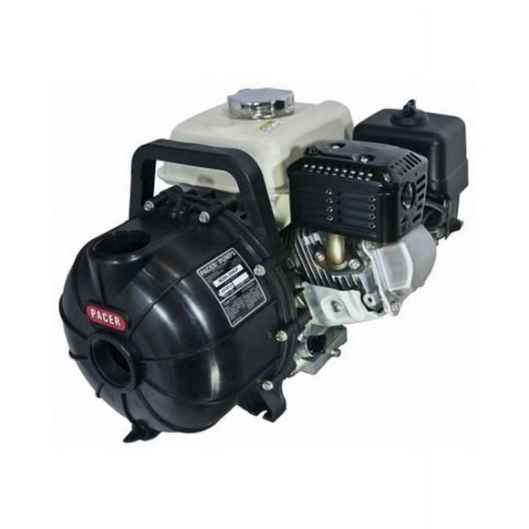 Pacer Pumps 129244 Pompe à Essence 2 Po. 5,5hp