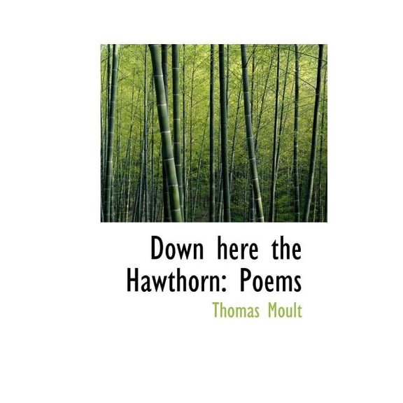 Down Here the Hawthorn : Poems (Paperback)