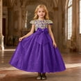 thumbnail image 2 of VNKIDY Girls Carnival Dress Kids Formal Short Sleeve Lace Bodice Glitter Tulle Skirt Velvet Bow Decor Flared Ball Gown Dress For Wedding Party Holiday Special Occasions Adorable Dress, 2 of 5