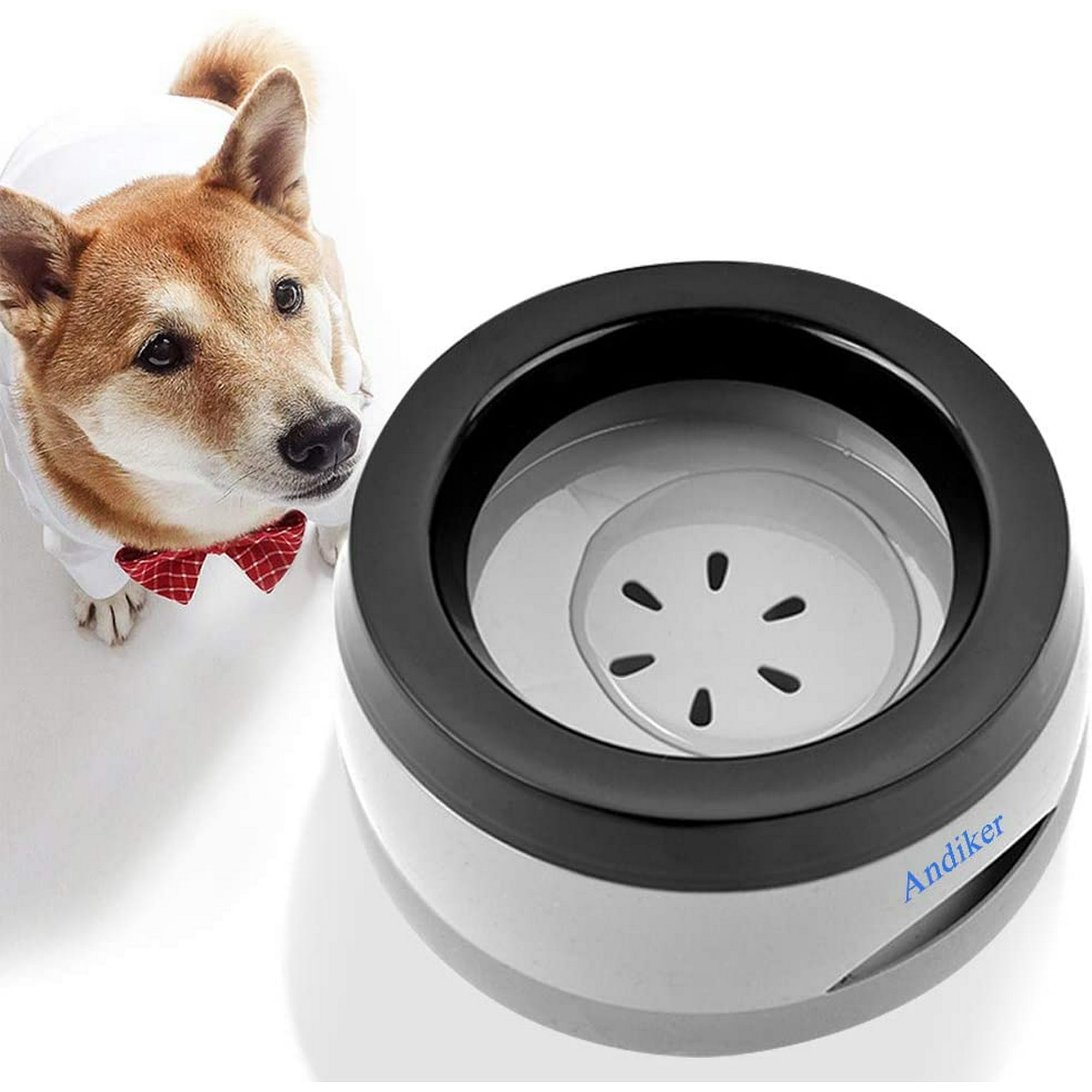 How Do I Stop My Dog From Spilling Water