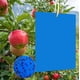 thumbnail image 1 of 30 Flying Insect Traps 30PCS Sticky Traps Double Sided Glue Blue Stickers Anti-Insect Waterproof Paper for Garden Plant Flower Fruit ProtectionElastic, 1 of 5