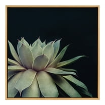 Kate and Laurel Sylvie Botanical Succulent 8 Framed Canvas by F2 Images, 30x30 Gold, Black and Botanical Green, Abstract Wall Decor For Office, Living Room, Dining Room