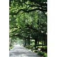 thumbnail image 2 of Alan Hausenflock 13x18 White Modern Wood Framed Wall Art Titled - Savannah Sidewalk I, 2 of 5