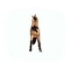 thumbnail image 3 of Figura de caballo de juguete Schleich Horse Club Andalusian Mare 5+, 3 of 6