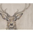 thumbnail image 1 of Bev Davies Serene Majesty Canvas Print, 1 of 1