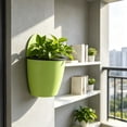 thumbnail image 4 of Indoor Outdoor Wall Mounted Planters with Drainage Holes Ideal for Decorating Balconies and Terraces Plants Flowers Indoor Outdoors, 4 of 6