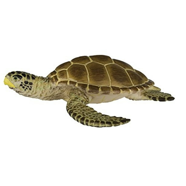 Safari Ltd Wild Safari Sea Lifehead Turtle Safari Ltd. Safari Ltd.