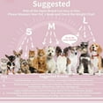 thumbnail image 3 of Soft Dog Cone for Small Dogs & Cats, After Surgery Dog Recovery Collar, Prevents Licking, Pink(M), 3 of 6