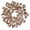 Café Latte, variant on Vickerman 24" Silver Artificial Dogwood Glitter Wreath