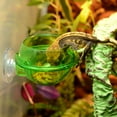 thumbnail image 4 of 4Pcs Reptile Feeder with Suction Cup Lizard Wall Hanging Feeder Anti-Escape Bowl, 4 of 8