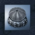 thumbnail image 3 of Grey, Jace 20x20 Black Modern Framed Museum Art Print Titled - Nautical blue mate Bordered, 3 of 5