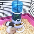 thumbnail image 3 of Pet Feeder Automatic,Bird Hamster Small Animal Feeder, Automatic Feeding Device Dispenser for Hamster Bird Pigeon Parrots Mini Hedgehog with Holder (5.91" x 5.31" x 3.15), 3 of 7