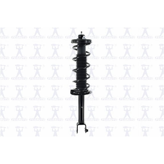 Suspension Strut and Coil Spring Assembly