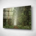 thumbnail image 2 of Epic Art 'Misty Spring Road' by Martin Podt, Acrylic Glass Wall Art, 16"x12", 2 of 3