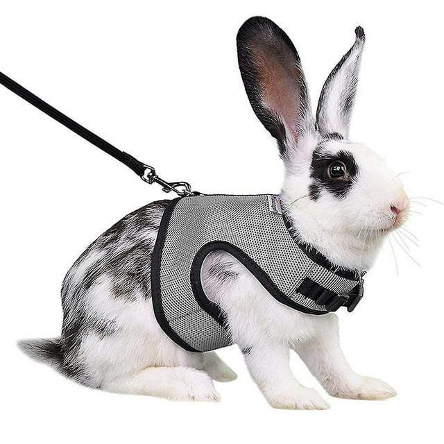 Harnais pour Lapin Confortable Réglable Outil de Traction Furet Rats Hamster Harnais en Maille Douce Laisse Gilet Ensemble Fournitures pour Animaux