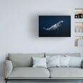 thumbnail image 3 of Barathieu Gabriel 'Humpback Whale' Canvas Art, 3 of 3