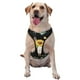 thumbnail image 1 of Balery Arnés para Perros Grandes Antitirones, Arnés con Correa para Gato, Arnés Tipo Chaleco para Perros Pequeños-X-Large, 1 of 6