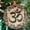 Om Stained1170, variant on Flat Earth Ornament SunCatcher Conspiracy Theory Window Hanging Home Decoration Gift for Conspiracy Theorist, 2025, Holiday Decoration, Seasonal 2025, Seasonal Holiday Decor,