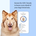 thumbnail image 3 of Wisdom Panel Breed Discovery Dog DNA Testing Kit, Most Accurate Dog Breed Identification, Test for 430+ Breeds, MDR1 Health Test, Ancestry, Relatives, 3 of 9