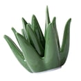 thumbnail image 4 of Soporte de anillo de cerámica de Aloe, plato de anillo, regalo de compromiso, soporte de joyería de boda, organizador, soporte de exhibición para, 4 of 8