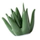 thumbnail image 4 of Soporte de cerámica para anillos de Aloe, soporte de exhibición para regalo, organizador de joyas, plato de anillo para mesita de noche, gabinete,, 4 of 8