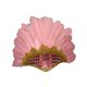 thumbnail image 5 of Diadema de plumas Fernando Banda para el pelo Tocado indio de jefe, 5 of 8