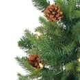 thumbnail image 4 of Sterling Charming 4 Foot Potted Natural Cut Georgia Pine, 4 of 5